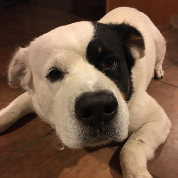 Meet your Posher! - Picture 1 of 1